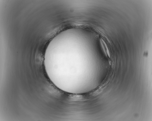 X0000090490476200708102222