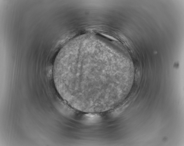 X0000090490477200708102222