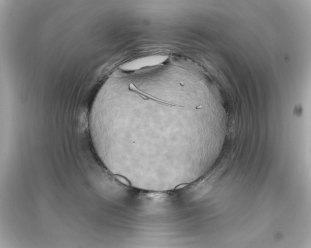 X0000090490478200708102222