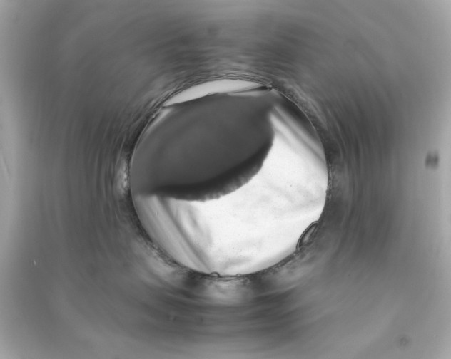 X0000090490479200708102222