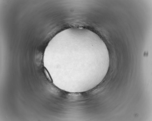 X0000090490480200708102222