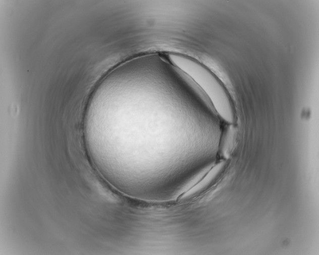 X0000090490481200708102222