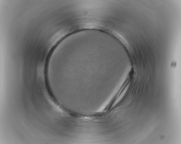 X0000090490482200708102222