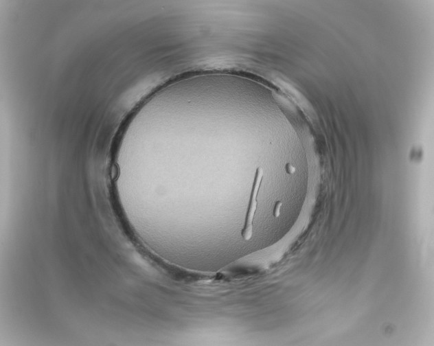 X0000090490485200708102222