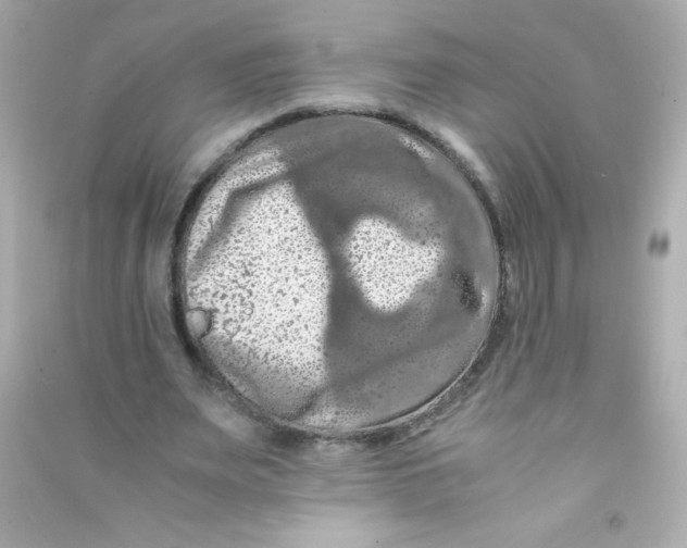 X0000090490487200708102222