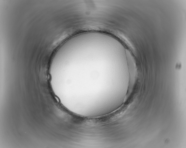 X0000090490489200708102222