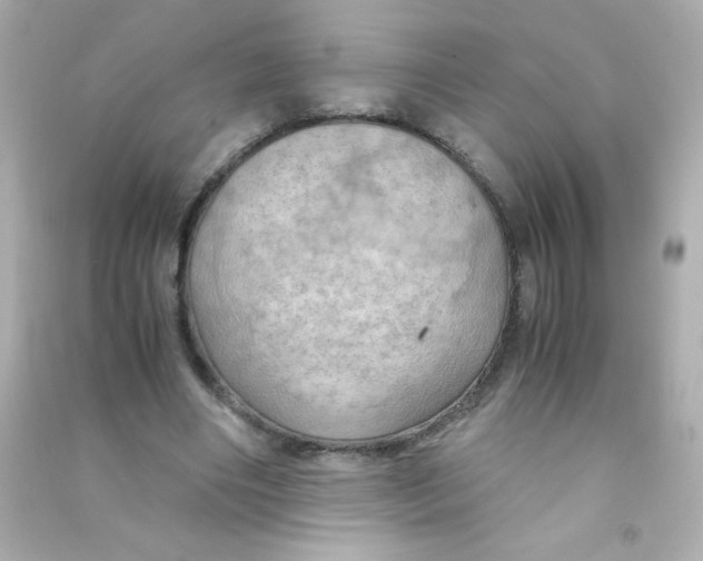 X0000090490490200708102222