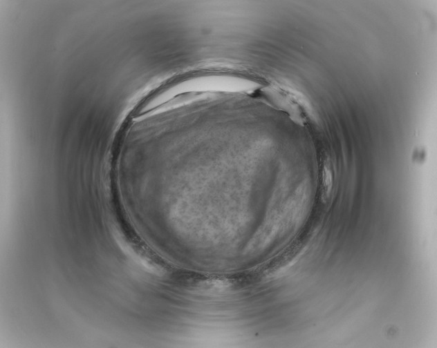 X0000090490492200708102222