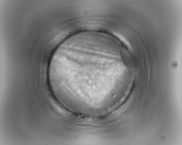 X0000090490493200708102222