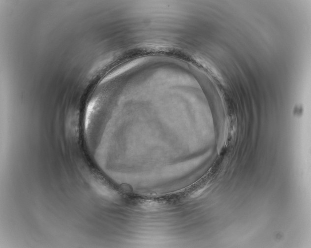 X0000090490494200708102222