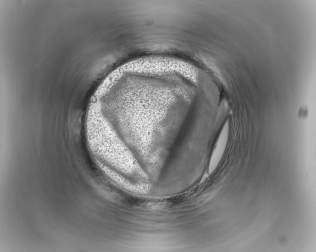 X0000090490495200708102221