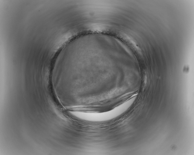 X0000090490496200708102221