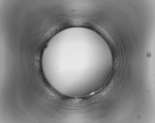 X0000090490497200708102221