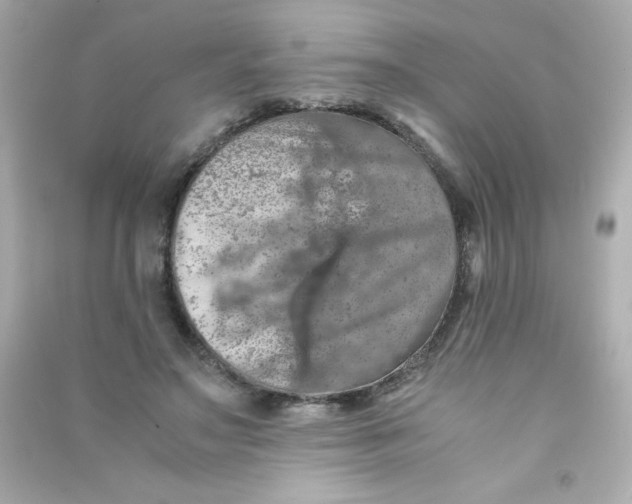 X0000090490499200708102221