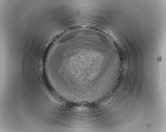 X0000090490500200708102221