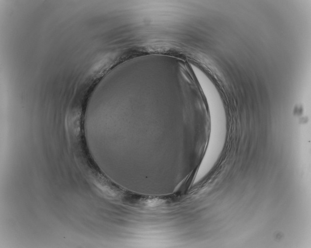 X0000090490501200708102221