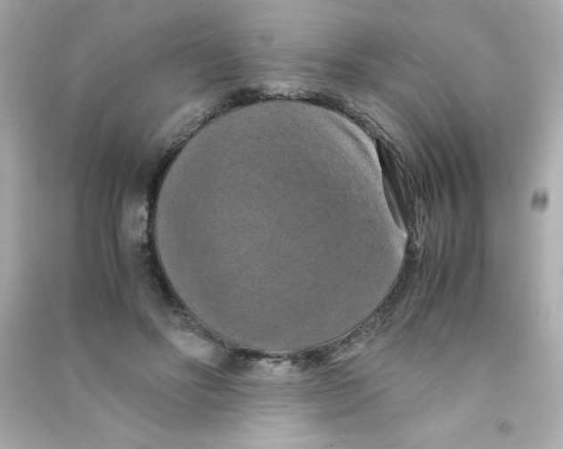 X0000090490502200708102221