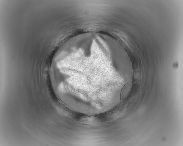 X0000090490503200708102221