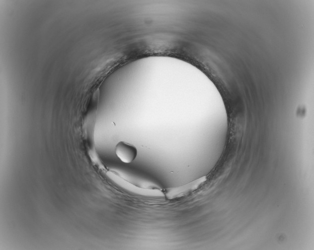 X0000090490505200708102221