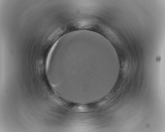 X0000090490506200708102221