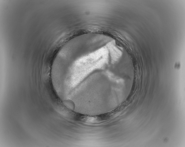 X0000090490507200708102221