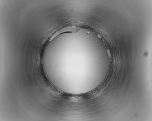 X0000090490508200708102221