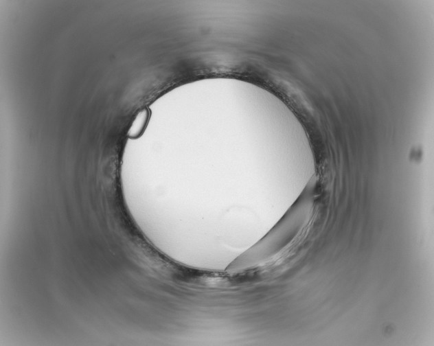 X0000090490509200708102221