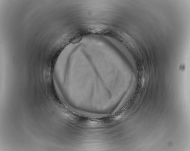 X0000090490510200708102221