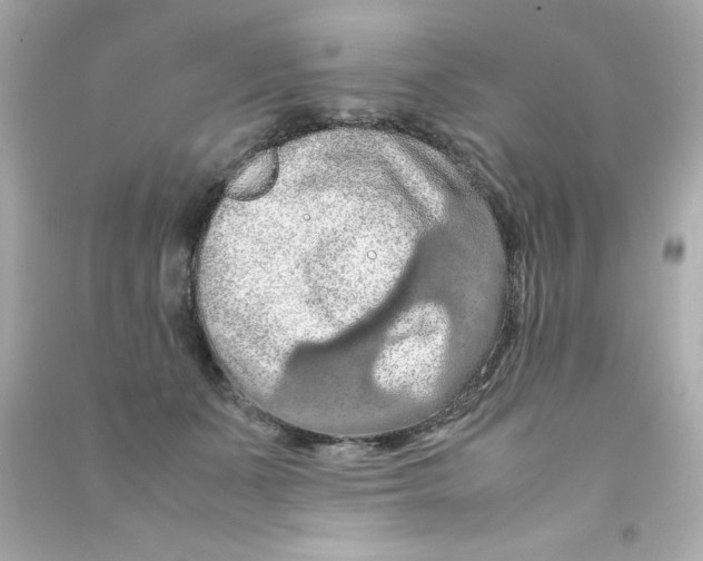 X0000090490511200708102221