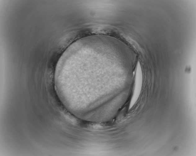 X0000090490513200708102221