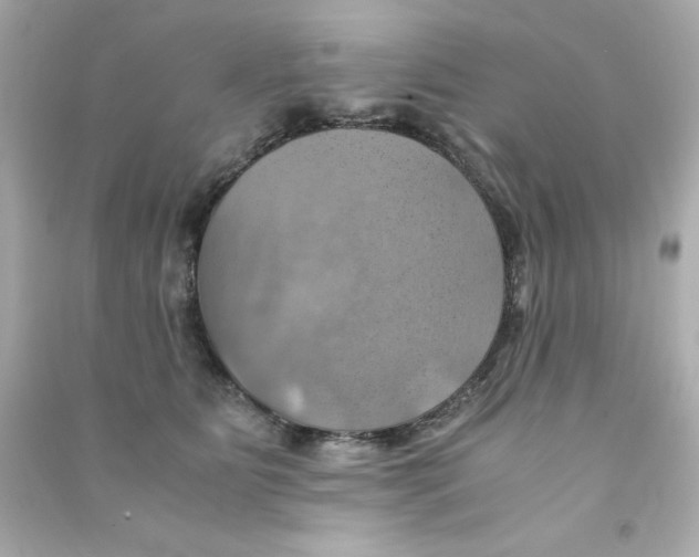 X0000090490515200708102221