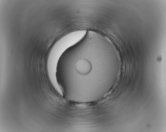 X0000090490516200708102221