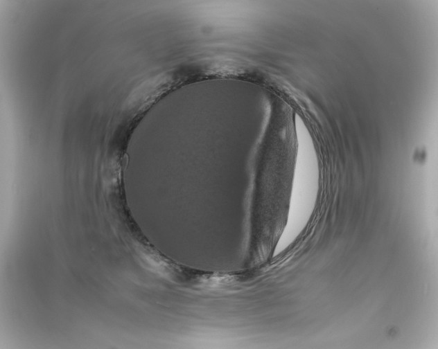 X0000090490517200708102221