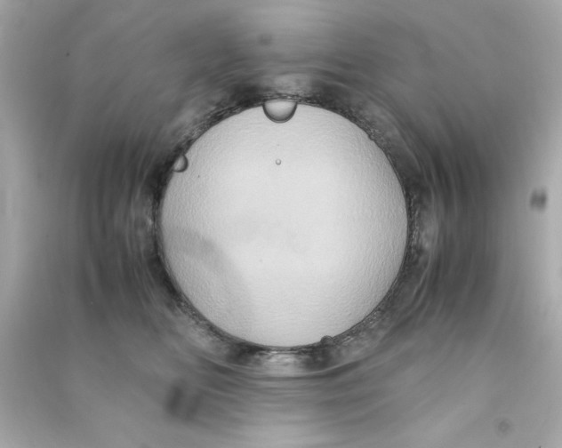 X0000090490518200708102221