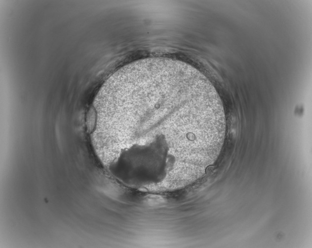 X0000090490519200708102221