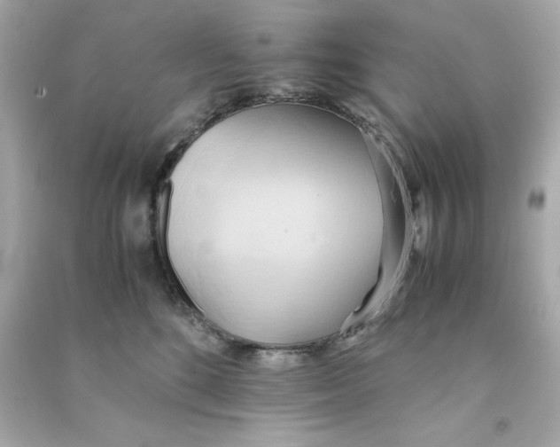 X0000090490520200708102221