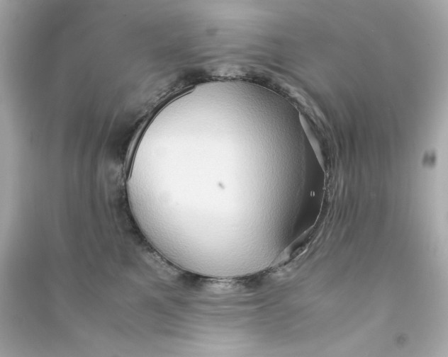 X0000090490521200708102221