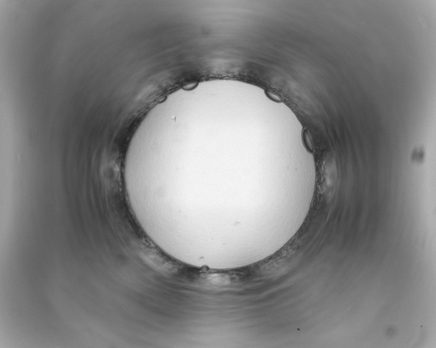 X0000090490522200708102221