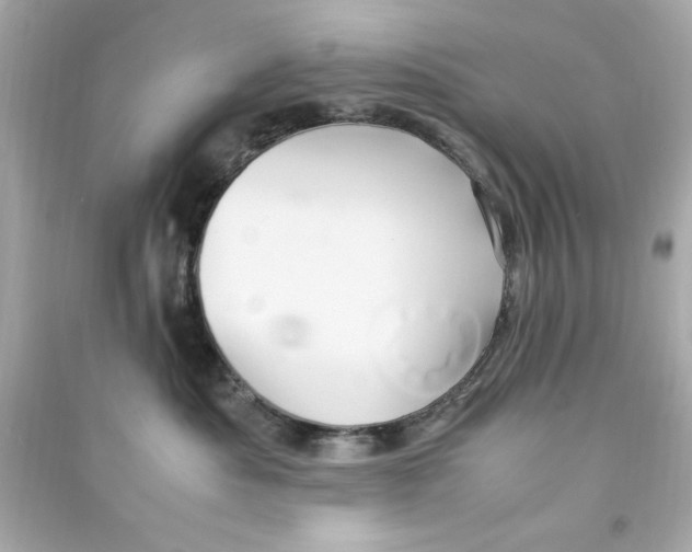 X0000090490525200708102221