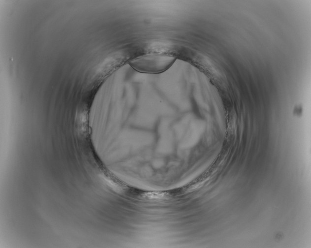 X0000090490526200708102221