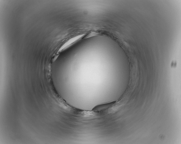 X0000090490528200708102221