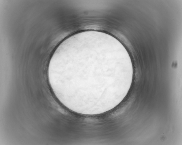 X0000090490529200708102220