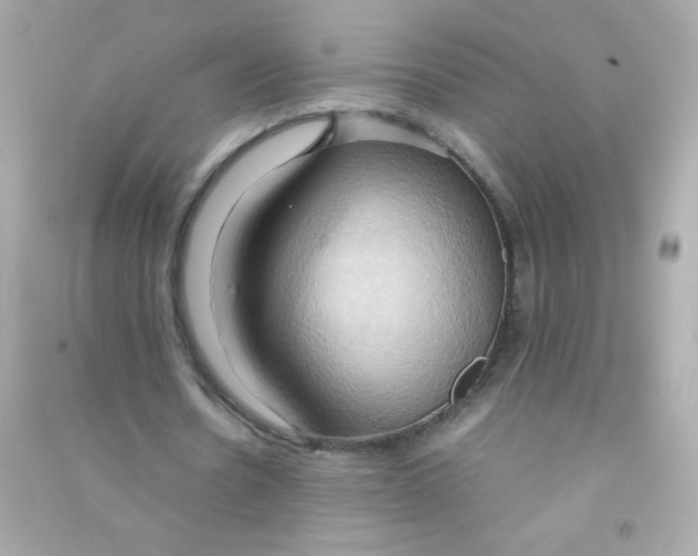 X0000090490530200708102220