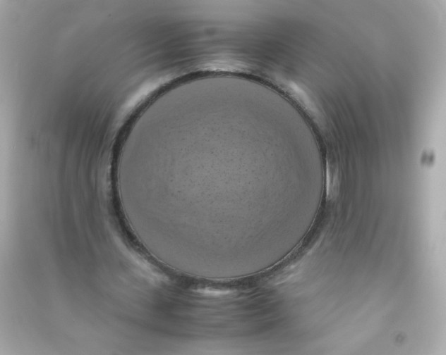 X0000090490531200708102220