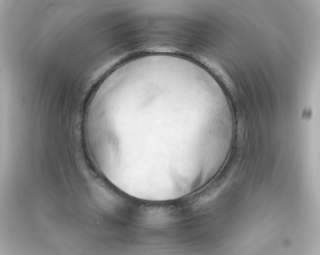 X0000090490533200708102220