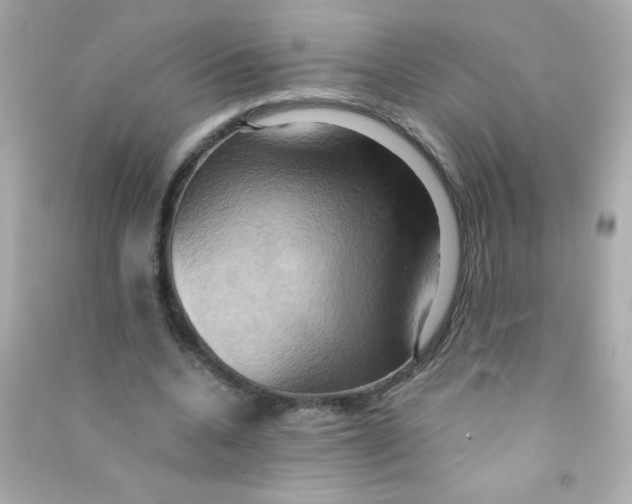 X0000090490536200708102220