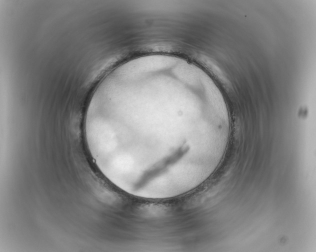 X0000090490537200708102220