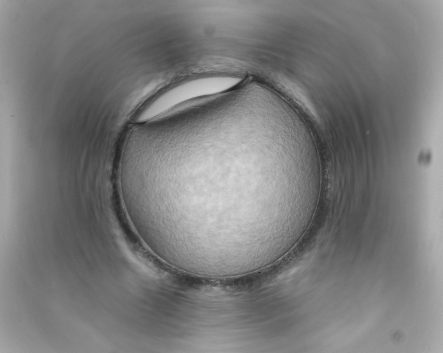 X0000090490538200708102220