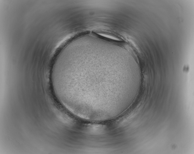 X0000090490539200708102221