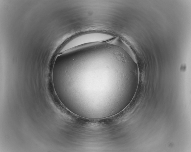 X0000090490540200708102221